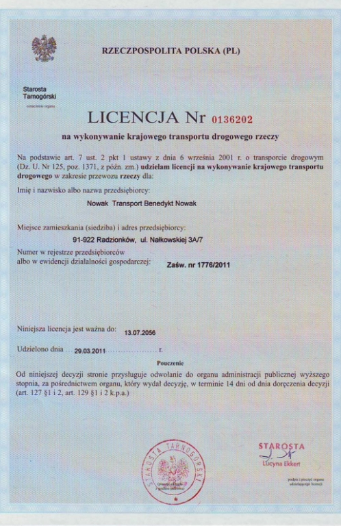 licencja 6